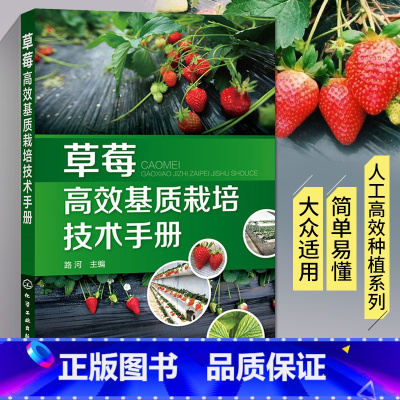 [正版]草莓高效基质栽培技术手册 草莓种植书籍大全农业技术果树种植病虫害图谱与防治栽培技术农业书籍科学实用果树栽培生产