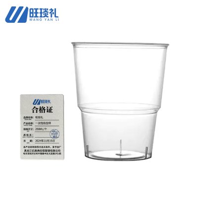 旺琰礼 一次性航空杯250ML/个