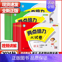 3本-[语文人教+数学苏教+英语译林] 五年级下 [正版]2024秋亮点给力大试卷江苏版人教版苏教版小学一二三四五六年级