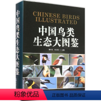 [正版]中国鸟类生态大图鉴 重庆大学出版社 郭冬生,张正旺 主编 著 航空航天