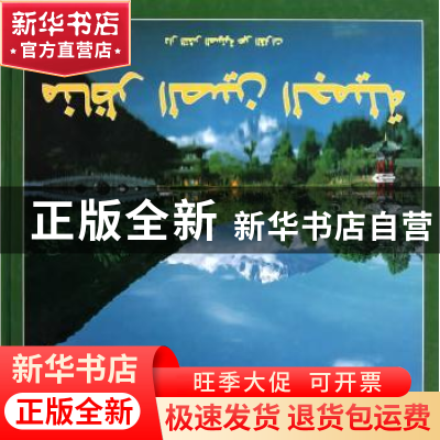正版 中国风光 林武汉主编 五洲传播出版社 9787508519180