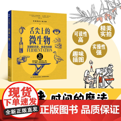 生活-舌尖上的微生物发酵的历史食谱与创新发酵孕育出食物的独特风味将等待升华为生命的灵动馈赠发酵康普茶开菲尔泡菜美食爱好者