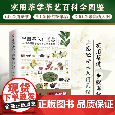 正版书籍 中国茶入门图鉴 从喝茶到懂茶的中国茶文化手册 实用茶道 步骤详解 让您轻松从入门到精通 实用茶学茶艺百科全图鉴