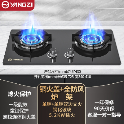 扬子燃煤气灶炉双灶家用天然气液化气猛火灶台式嵌入式 钢化玻璃加厚5.2kW双文火_液化气