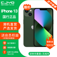 [99新]Apple iPhone 13 绿色 256GB 苹果13 全网通5G 双卡双待 二手手机 国行正品 无磕碰