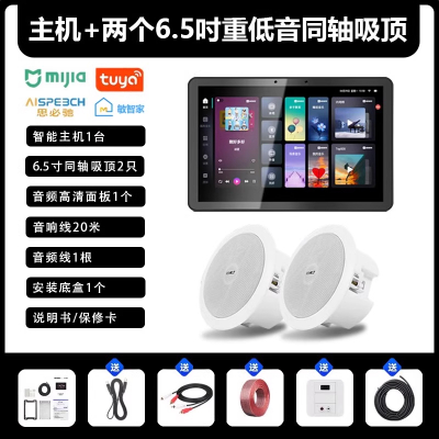 先科(SAST)智能AI家庭吸顶音响套装家用客厅无线蓝牙吊顶(内置精灵)智能语音主机+2个6.5英寸重低音同轴吸顶音响