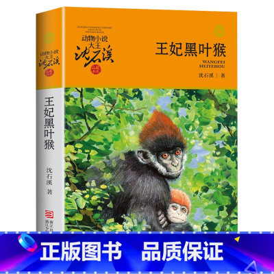 王妃黑叶猴 [正版]书店王妃黑叶猴 升级版 动物小说大王沈石溪品藏书系 小学三四五六年级课外阅读书籍动物小说 浙江少年儿