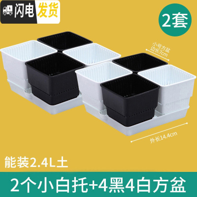三维工匠多肉花盆带托盘肉肉套装组合透气塑料控根控型盆器特 [2套][0.9元]小白托+2黑2白盆(7cm盆) 小花盆容器