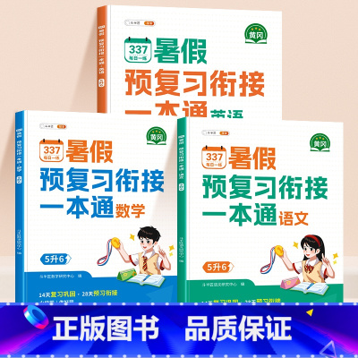 [3册]语文+数学+英语 [正版]2025新版五升六暑假衔接337预复习一本通语文数学全套同步人教版小学五年级升六年级下