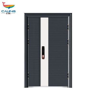 彩鲸(CAIJING)CJ-FDDK27防盗门安全门钢质家用门进户门大门别墅入户门