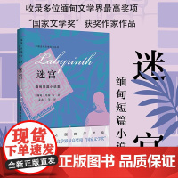 迷宫 缅甸短篇小说集 丹瑞 等 著 小说