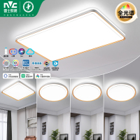 雷士照明全光谱[大瓦数升级款]语音智控LED吸顶灯现代简约客厅卧室书房时尚创意双层透光轻奢大尺寸全屋灯具套餐