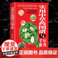 实用中草药图谱与应用手册-彩图版 中医入门书籍理论基础中医书胡贵荣贵州科技出版社9787553213507医学卫生/药学