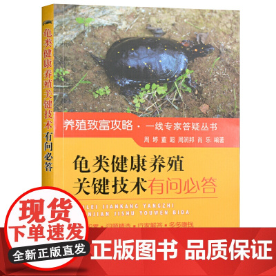 龟类健康养殖关键技术有问必答 高效养龟鳖水产养殖书籍大全轻松掌握龟鳖健康养殖书大全 乌龟养殖书 养龟与疾病防治高效养龟技