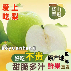 青皮蜜梨砀山翠冠梨净重4.5斤新鲜当季果园直采脆梨水果 甜脆多汁 皮薄肉厚 送礼公司福利采购