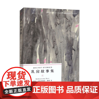 乳房故事集 玛哈丝维塔 黛维作品 玛哈斯维塔·黛维 著 小说