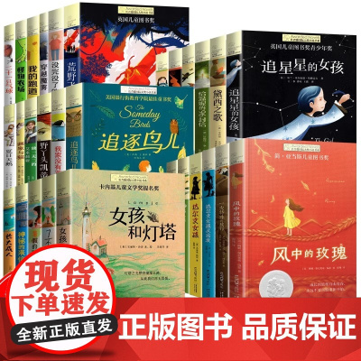 正版长青藤国际大奖小说 暑假的秘密 十二岁的旅程 7-15岁少儿读物名著四五六年级 儿童文学畅常青藤销获奖书籍 小学课外