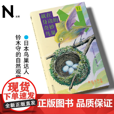轻读文库第三季 就在身边的奇妙鸟巢 轻读N文库 自然爱好者入门必备 36种常见鸟类及其巢穴解析,我们身边不可思议的自然居