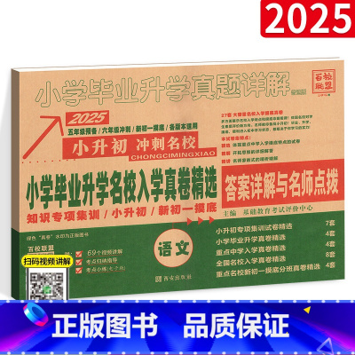 [正版]2025新版小升初真题卷语文 小学毕业升学名校招生真卷 小升初语文真题试卷详解 六年级小考小升初分班考试卷百校