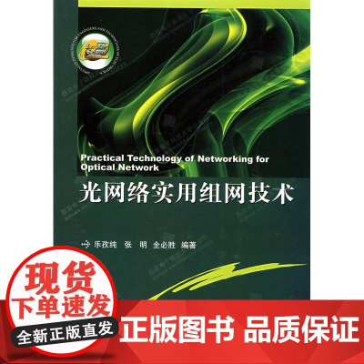 光网络实用组网技术