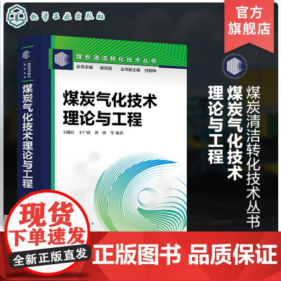 煤炭气化技术 理论与工程 煤炭清洁转化技术丛书 煤气化技术的最新进展和工程应用 煤气化技术开发设备设计和工程设计人员参考