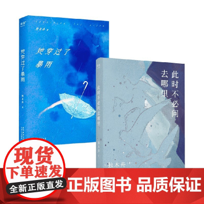 此时不必问去哪里+她穿过了暴雨 独木舟 著 小说