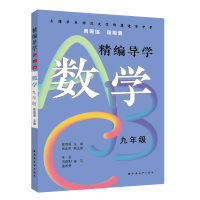 音像精编导学ABC.数学九年级陈国强