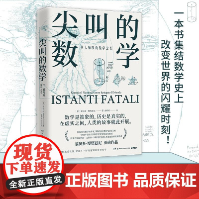 尖叫的数学令人惊叹的数学之美 (意)翁贝托博塔兹尼数学史专家国际杂志前主编带你从数学的角度看世界通俗数学史读物