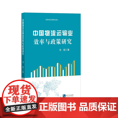 中国物流运输业效率与政策研究