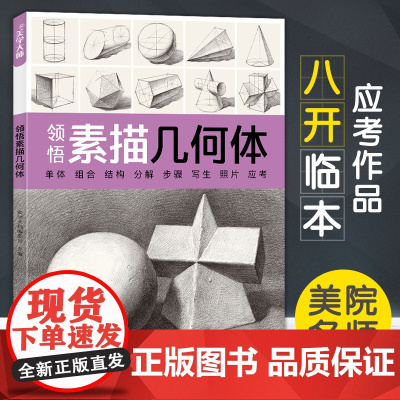 领悟素描几何体 8开临摹范本 素描石膏几何体起步入门基础教程书籍单个组合结构初学者对画照片写生技法美术教材正版