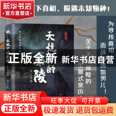 正版 天坑下的秦陵(黑衣帝国) 韩学龙著 广东旅游出版社 97875570