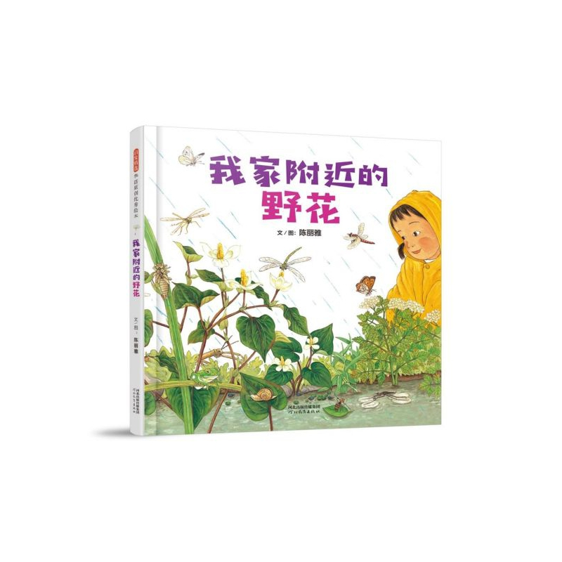 音像我家附近的野花(精)陈丽雅|责编:谷华|绘画:陈丽雅