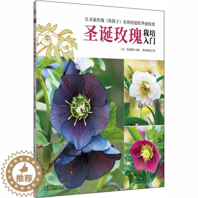 [醉染正版]绿手指园艺丛书 药草花园 圣诞玫瑰栽培入门月季种植书月季玫瑰养护种植修剪书新手养花书园艺书籍月季四季栽培铁线