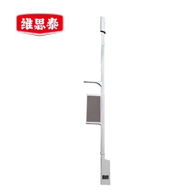 维思泰 LED道路灯灯杆 WST-DL5 个