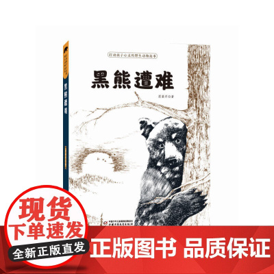 打动孩子心灵的野生动物故事——黑熊遭难