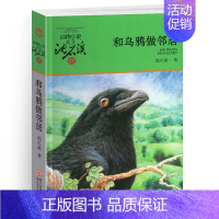 和乌鸦做邻居 [正版]牧羊神豹沈石溪小学四年级五年级全集全套书浙江少年儿童出版社非注音版完整版动物小说大王品藏书系小学生