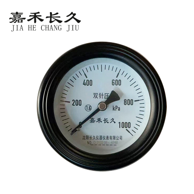 嘉禾长久 轴向双针表 YYS-100Z 1000KPA 台