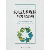 音像发电技术现状与发展趋势杨倩鹏[等]编