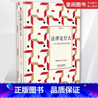 法律是什么 [正版]法律是什么 二十世纪英美法理学批判阅读 刘星法律三部曲 中国法制出版社 法律学子入门书 法理学经典著