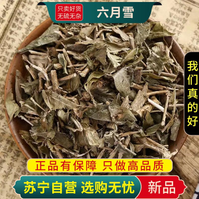 甄选六月雪100克正品新货干货白马骨路边金满天星煮水泡茶另售金银花