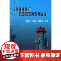 钢丝绳抽油杆抽油技术原理与应用