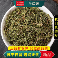 甄选半边莲100克干货新货正品官方店半边莲新货半边莲半边细米草半边莲