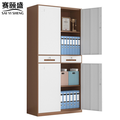 赛颐盛档案柜中二斗套色台