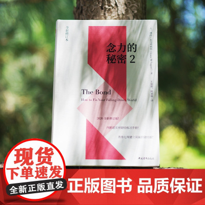 念力的秘密2心灵励志 心理学 中国青年出版社正版