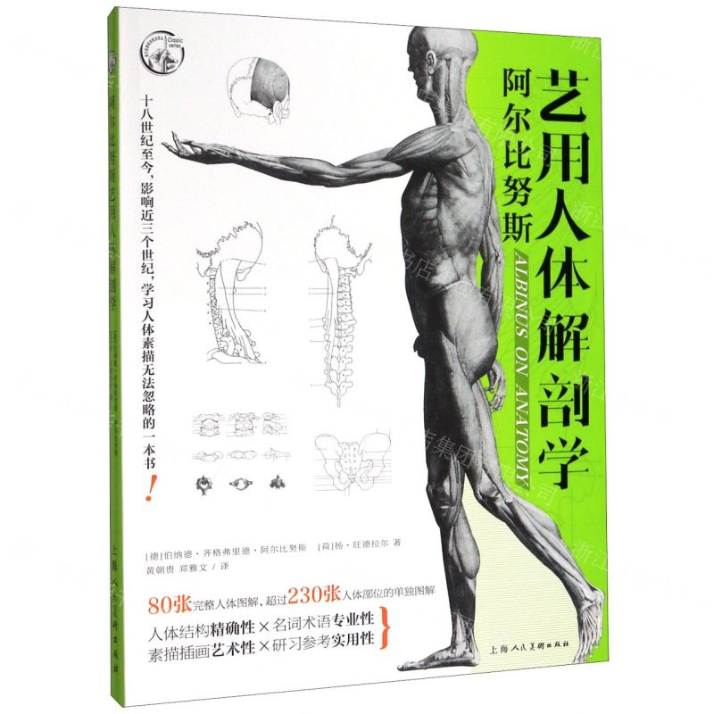 [M]阿尔比努斯艺用人体解剖学/西方经典美术技法译丛-9787558616495