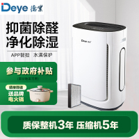 德业除湿机DYD-U20A3家用轻音卧室 抽湿机地下室 净化除甲醛除湿器干燥机米家智能款DYD-U20A3