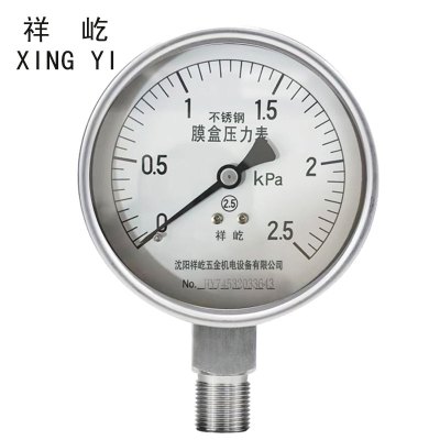 祥屹 不锈钢膜盒压力表检测定制型 YE100BF 块