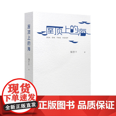 屋顶上的海