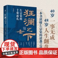 狂澜之下:左宗棠的十张面孔 徐志频 著 选择 交友 用人 家风等方面 揭秘左宗棠从问题少年到晚清战神的逆袭之路 历史人物