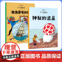 神秘的流星(第九集)+独角兽号的秘密(第十集)大开本 新版丁丁历险记连环画卡通漫画故事书小学生课外阅读书籍
